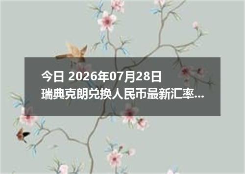 今日 2026年07月28日 瑞典克朗兑换人民币最新汇率行情