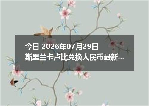 今日 2026年07月29日 斯里兰卡卢比兑换人民币最新汇率行情