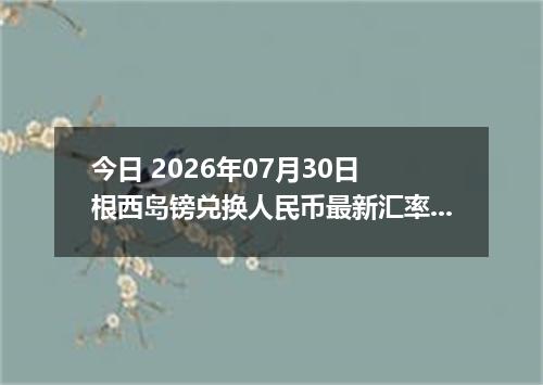 今日 2026年07月30日 根西岛镑兑换人民币最新汇率行情