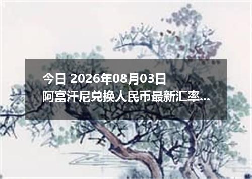 今日 2026年08月03日 阿富汗尼兑换人民币最新汇率行情