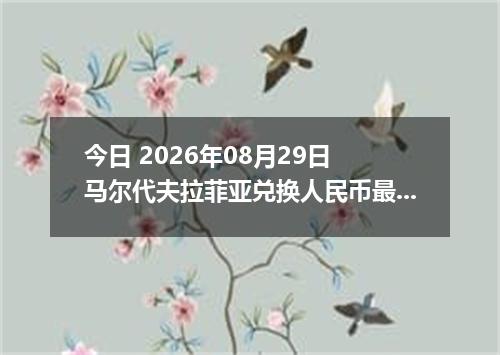 今日 2026年08月29日 马尔代夫拉菲亚兑换人民币最新汇率行情