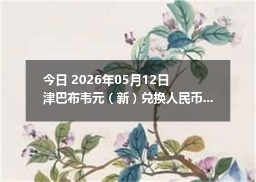 今日 2026年05月12日 津巴布韦元（新）兑换人民币最新汇率行情