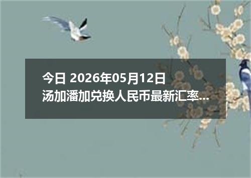 今日 2026年05月12日 汤加潘加兑换人民币最新汇率行情
