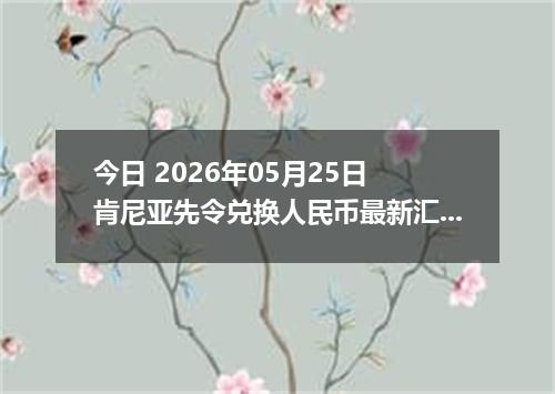 今日 2026年05月25日 肯尼亚先令兑换人民币最新汇率行情