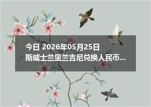 今日 2026年05月25日 斯威士兰里兰吉尼兑换人民币最新汇率行情
