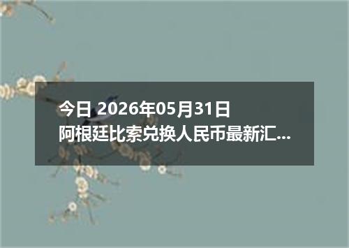 今日 2026年05月31日 阿根廷比索兑换人民币最新汇率行情
