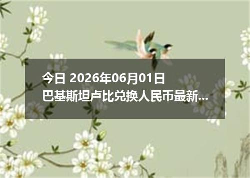 今日 2026年06月01日 巴基斯坦卢比兑换人民币最新汇率行情