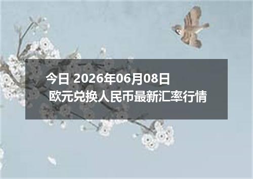 今日 2026年06月08日 欧元兑换人民币最新汇率行情