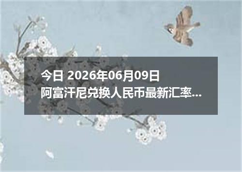 今日 2026年06月09日 阿富汗尼兑换人民币最新汇率行情