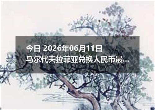 今日 2026年06月11日 马尔代夫拉菲亚兑换人民币最新汇率行情