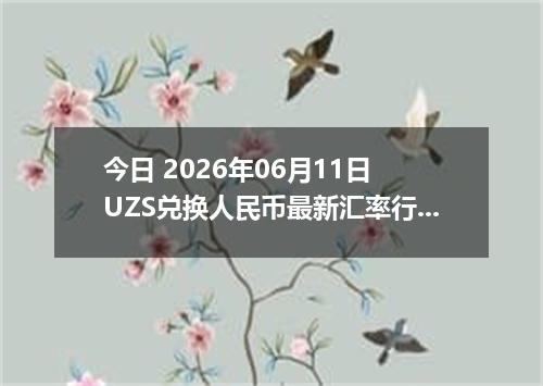 今日 2026年06月11日 UZS兑换人民币最新汇率行情