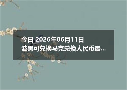 今日 2026年06月11日 波黑可兑换马克兑换人民币最新汇率行情
