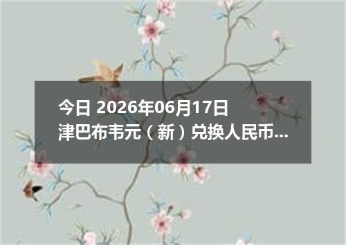 今日 2026年06月17日 津巴布韦元（新）兑换人民币最新汇率行情