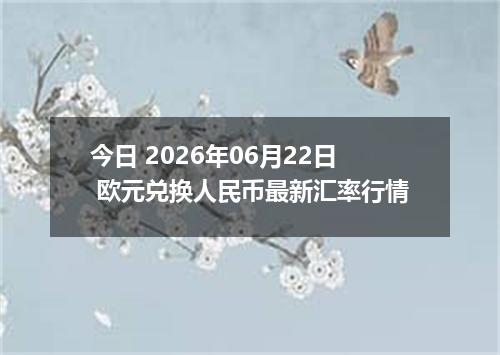 今日 2026年06月22日 欧元兑换人民币最新汇率行情