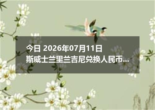 今日 2026年07月11日 斯威士兰里兰吉尼兑换人民币最新汇率行情